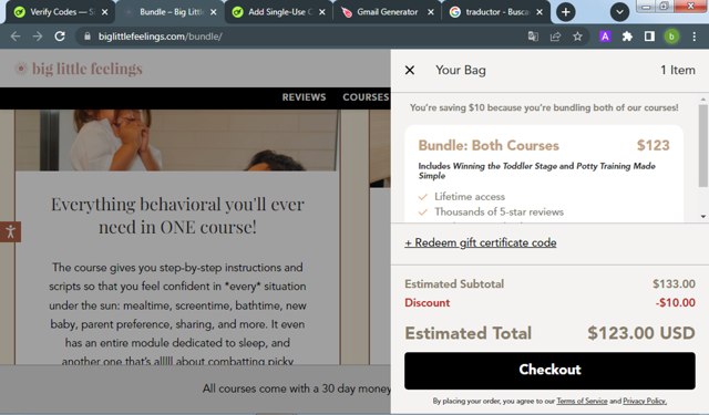 Big Little Feelings checkout page showing Big Little Feelings promo code box | Screenshot taken by SimplyCodes community member on Dec 19, 2024
