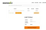 BRVDE376 coupon verification screenshot