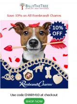 CHARM10 coupon verification screenshot