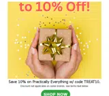 TREAT10 coupon verification screenshot