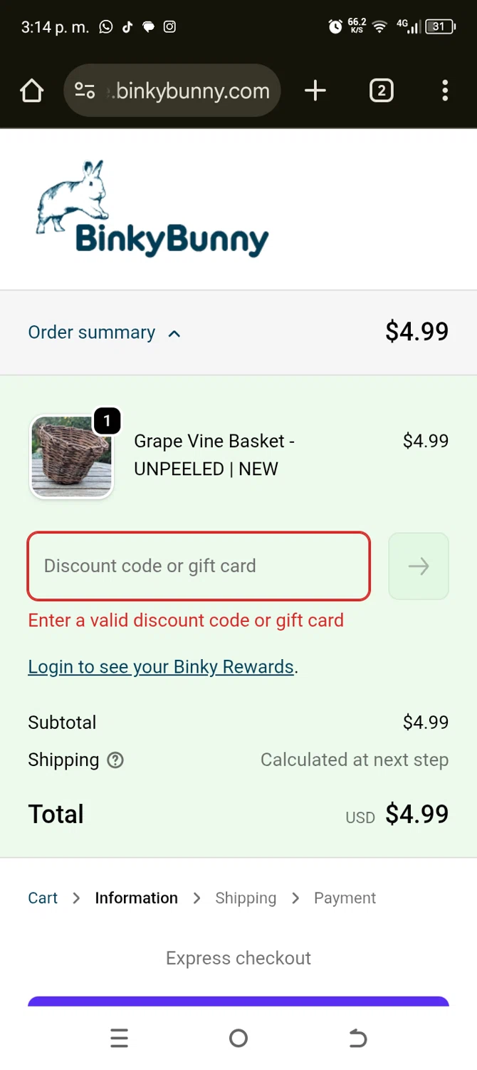 Binkybunny promo code screenshot showing code BINKYBASKET10 applied at Binkybunny checkout page. Uploaded by SimplyCodes community member TokenAce5969 on Jan 23, 2026