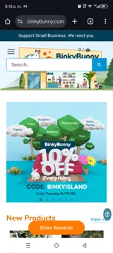 Binkybunny coupon verification screenshot