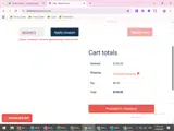 WELCOME10 coupon verification screenshot