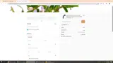 BIRTHFUL coupon verification screenshot