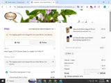 BS10 coupon verification screenshot