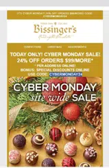 CYBERMONDAY24 coupon verification screenshot