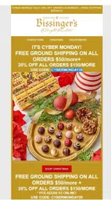 CYBERMONDAY25 coupon verification screenshot