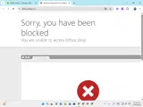 BitBox coupon verification screenshot