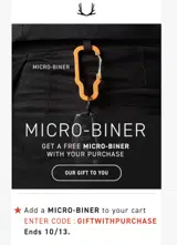 GIFTWITHPURCHASE coupon verification screenshot