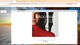 bfcm2025 coupon verification screenshot