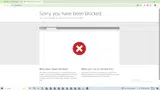BlindsChalet coupon verification screenshot