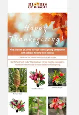 Thanksgiving coupon verification screenshot