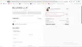 BB-PION-S coupon verification screenshot