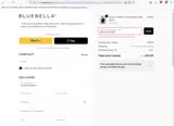 BBYOUTH4007 coupon verification screenshot