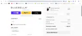 BBPAYDAY coupon verification screenshot
