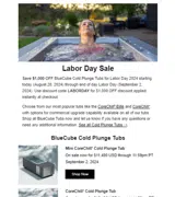 LABORDAY coupon verification screenshot