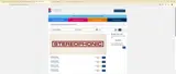 WILDPARTY coupon verification screenshot