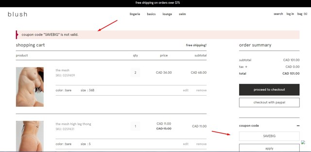 Blush Lingerie checkout page showing Blush Lingerie discount code box | Screenshot taken by SimplyCodes community member on Aug 20, 2023