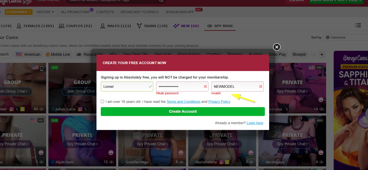 BongaCams promo code screenshot showing code NEWMODEL applied at BongaCams checkout page. Uploaded by SimplyCodes community member Lioniel on Feb 26, 2025