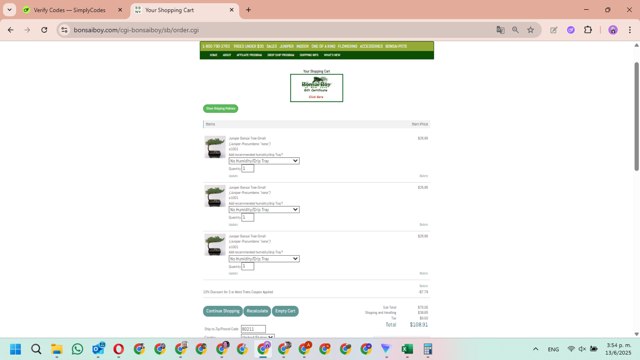 Bonsai Boy of New York checkout page showing Bonsai Boy of New York promo code box | Screenshot taken by SimplyCodes community member on Jun 13, 2025