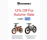 vvvip coupon verification screenshot