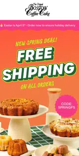 SPRINGFS coupon verification screenshot