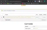 Brainstorm Security Shop coupon verification screenshot