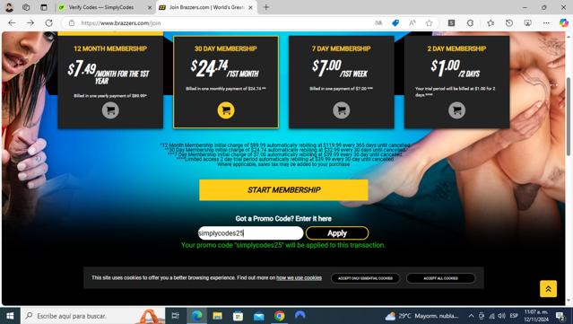 Brazzers checkout page showing Brazzers promo code box | Screenshot taken by SimplyCodes community member on Nov 12, 2024