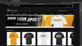 Brenau Golden Tigers coupon verification screenshot