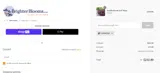 SUMMER25 coupon verification screenshot