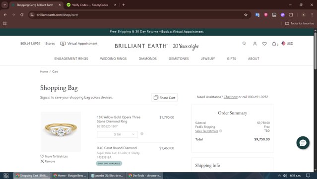 Brilliant Earth checkout page showing Brilliant Earth promo code box | Screenshot taken by SimplyCodes community member on Jun 28, 2025