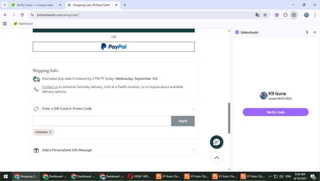 Brilliant Earth checkout page showing Brilliant Earth promo code box | Screenshot taken by SimplyCodes community member on Aug 19, 2025
