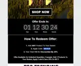 SAVE25 coupon verification screenshot