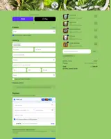Britt's Fermented Foods coupon verification screenshot