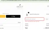 ANNIKA20 coupon verification screenshot