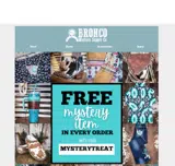 MYSTERYTREAT coupon verification screenshot
