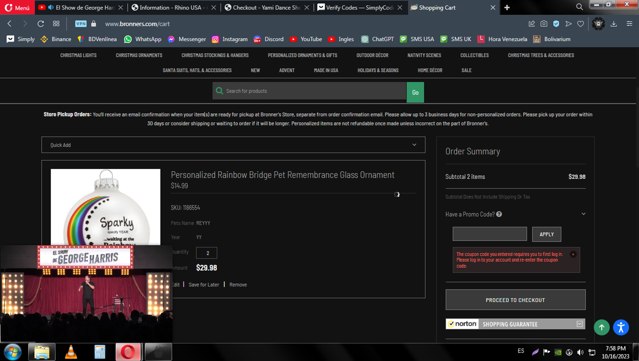Bronner's checkout page showing Bronner's promo code box | Screenshot taken by SimplyCodes community member on Oct 16, 2023