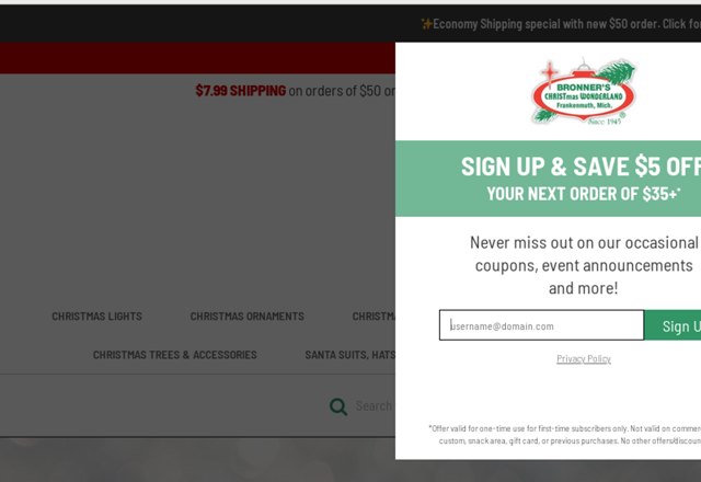 Bronner's checkout page showing Bronner's promo code box | Screenshot taken by SimplyCodes community member on Oct 23, 2023