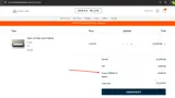 SPRING33 coupon verification screenshot