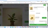 welcome coupon verification screenshot