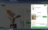 BEMINE coupon verification screenshot
