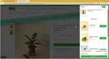 BOTANICALLYINSANE coupon verification screenshot