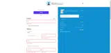Brown Toy Box coupon verification screenshot