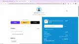 Brown Toy Box coupon verification screenshot
