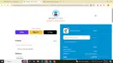 Brown Toy Box coupon verification screenshot