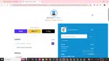 Brown Toy Box coupon verification screenshot