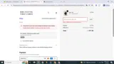 Brunette the Label coupon verification screenshot