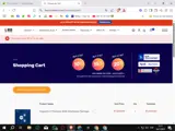 BC10 coupon verification screenshot