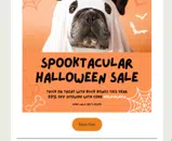 howloween coupon verification screenshot