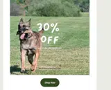 laborday30 coupon verification screenshot